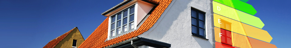 Banner - Ralf Palmai