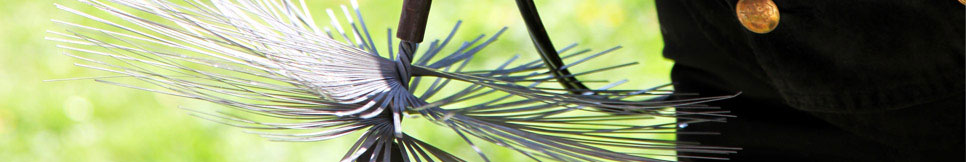 Banner - Ralf Palmai